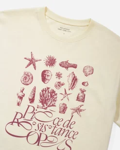 Artifacts Flatlay Standard Short Sleeve Tee